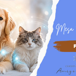 Mesa Radionica Pet